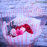 Tờ Giấy Bóng Kính Gói Hoa, Gói Quà, In Thơ tiếng Pháp Màu Đỏ, Dày Dặn (50x50cm)