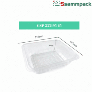 KHAY NHỰA GSP-235195-65 MÀU TRẮNG TRONG